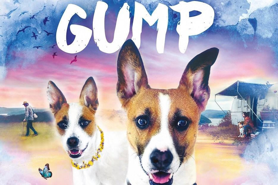 Kino: GUMP – JSME DVOJKA